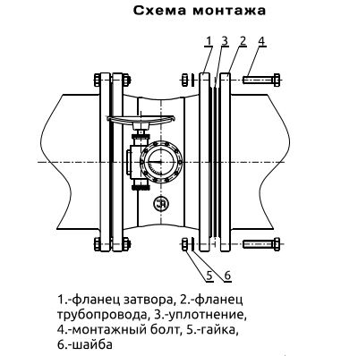 4493_1.JPG 4493_1.JPG