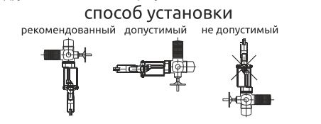 2905.JPG