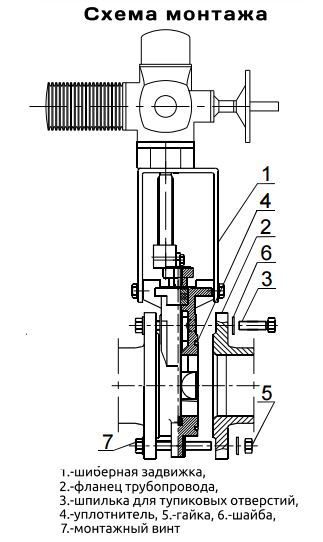 2905_2.JPG